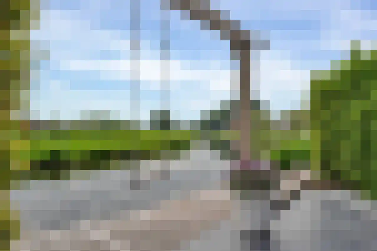 Kerklaan 45 c Nieuwerkerk aan den IJssel thumbnail 7