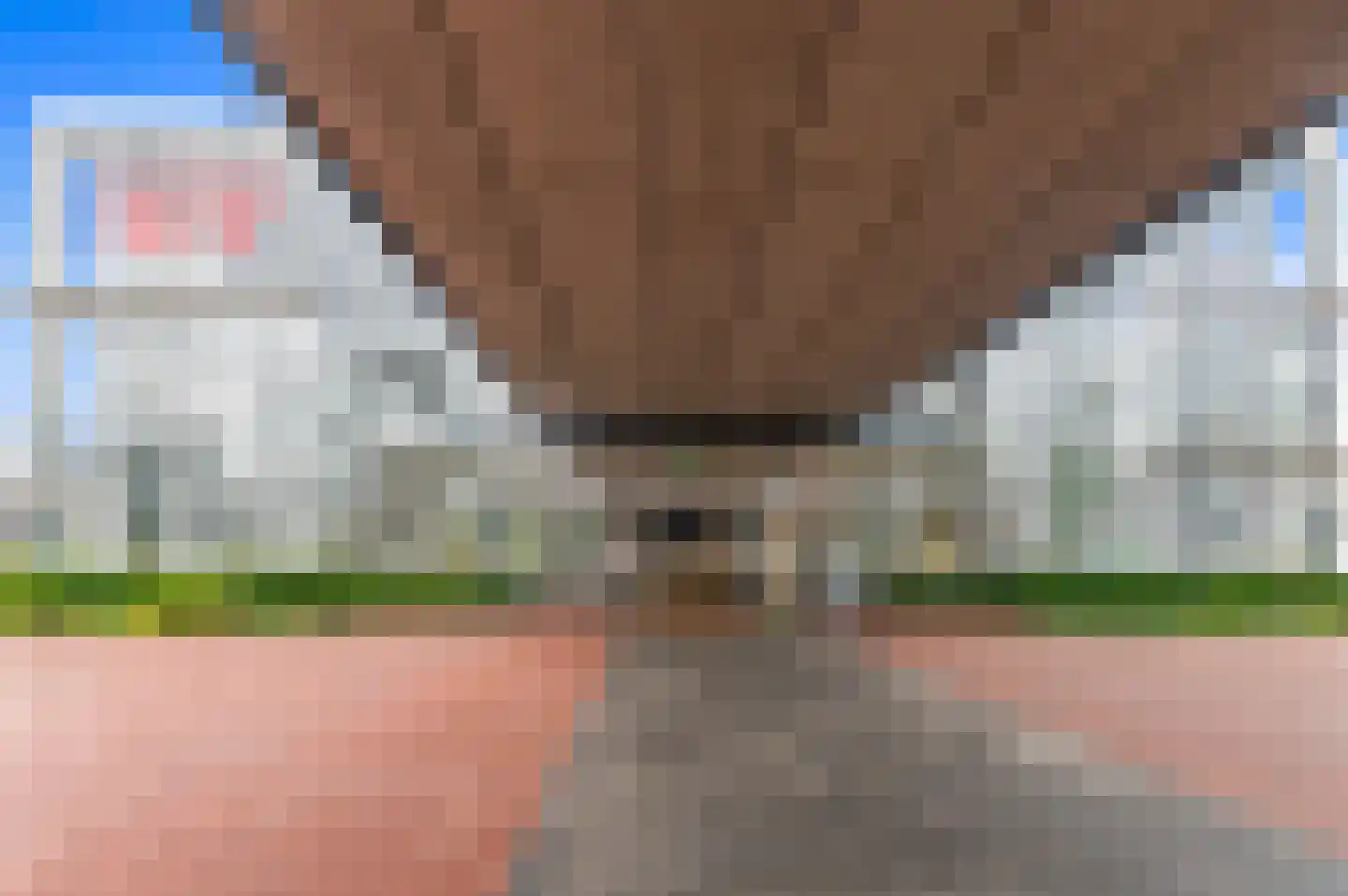 Kerklaan 453 Capelle aan den IJssel thumbnail 39