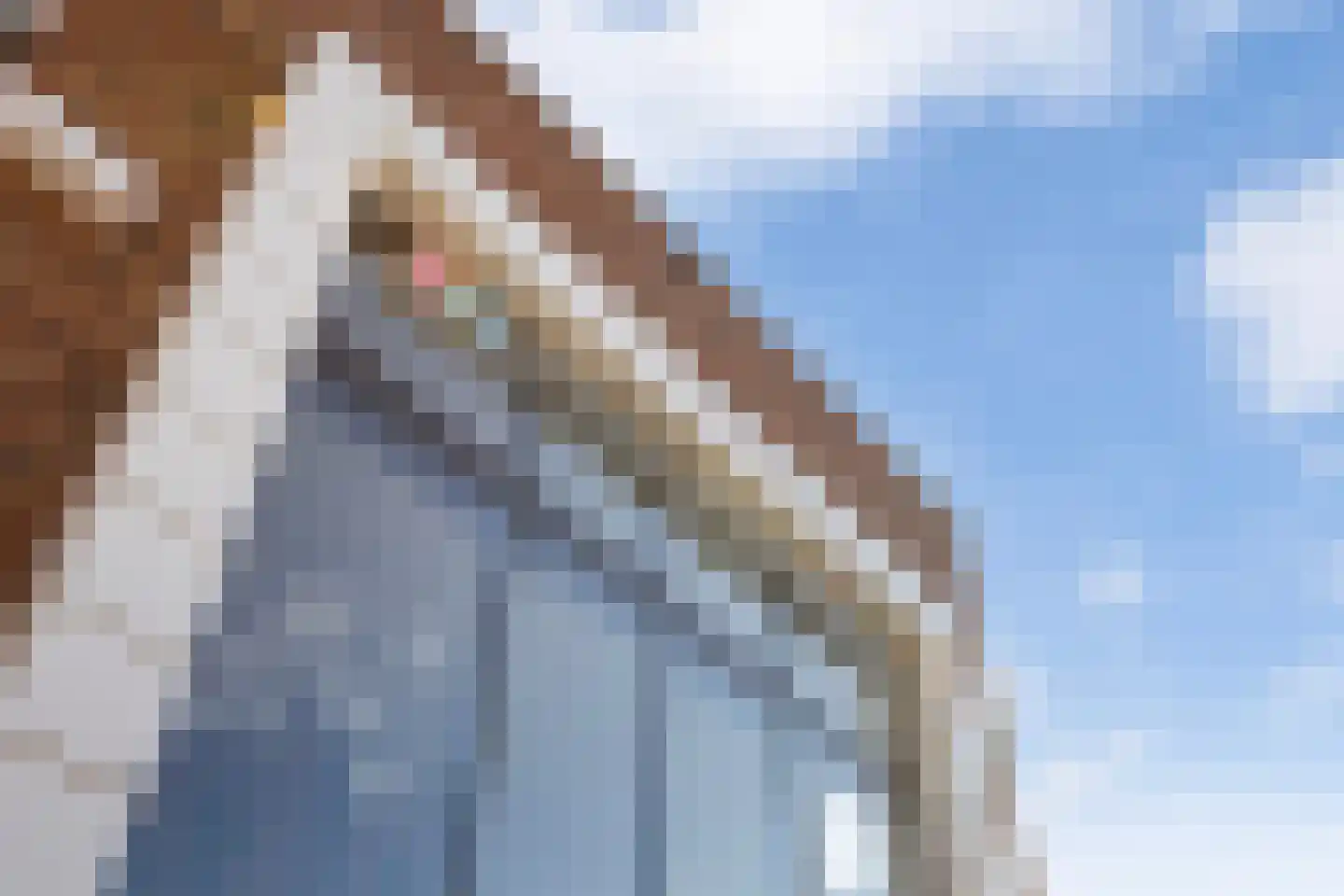 Kerklaan 455 Capelle aan den IJssel thumbnail 30