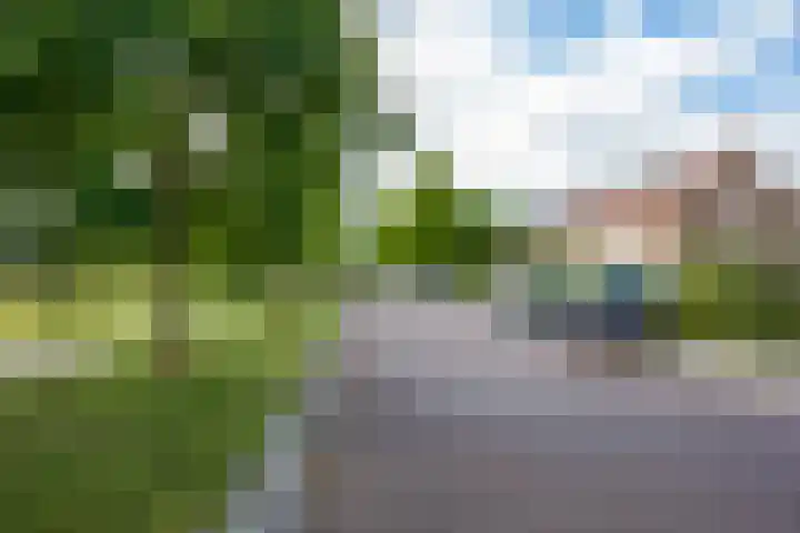 Kerklaan 46 Noord-Scharwoude thumbnail 19