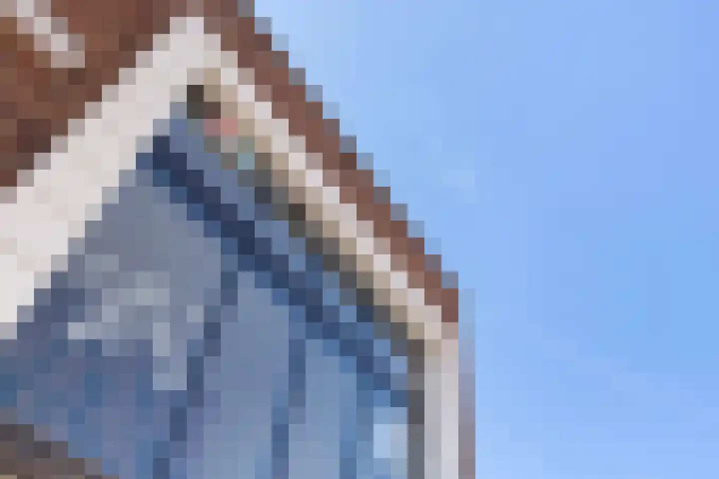 Kerklaan 463 Capelle aan den IJssel thumbnail 29