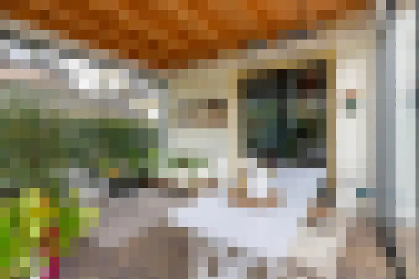 Kerklaan 49 Apeldoorn thumbnail 34