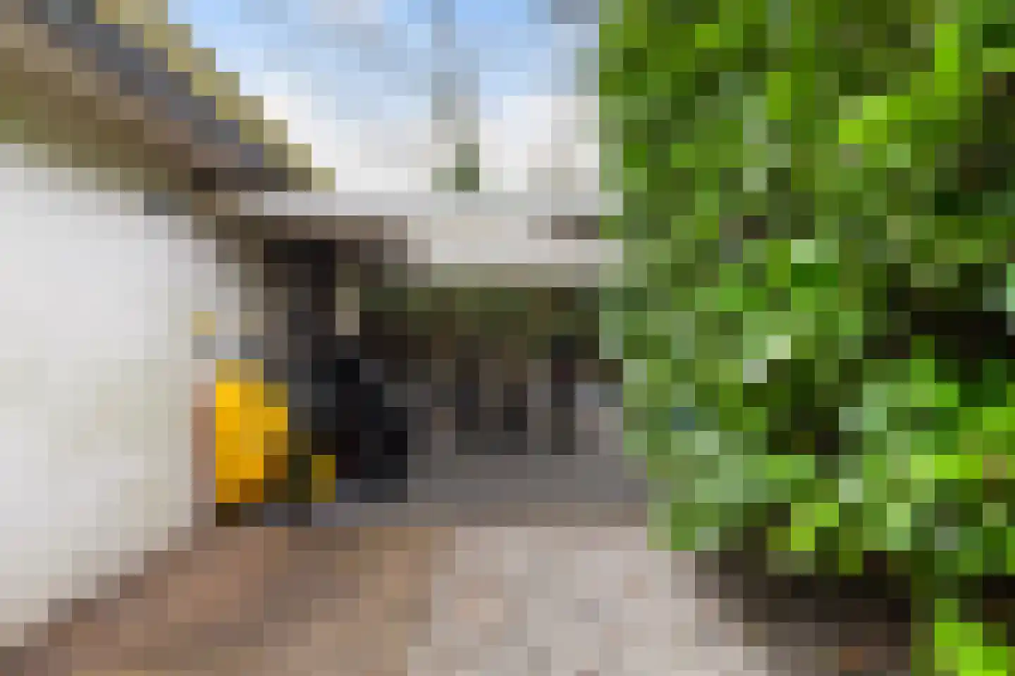 Kerklaan 49 Apeldoorn thumbnail 69