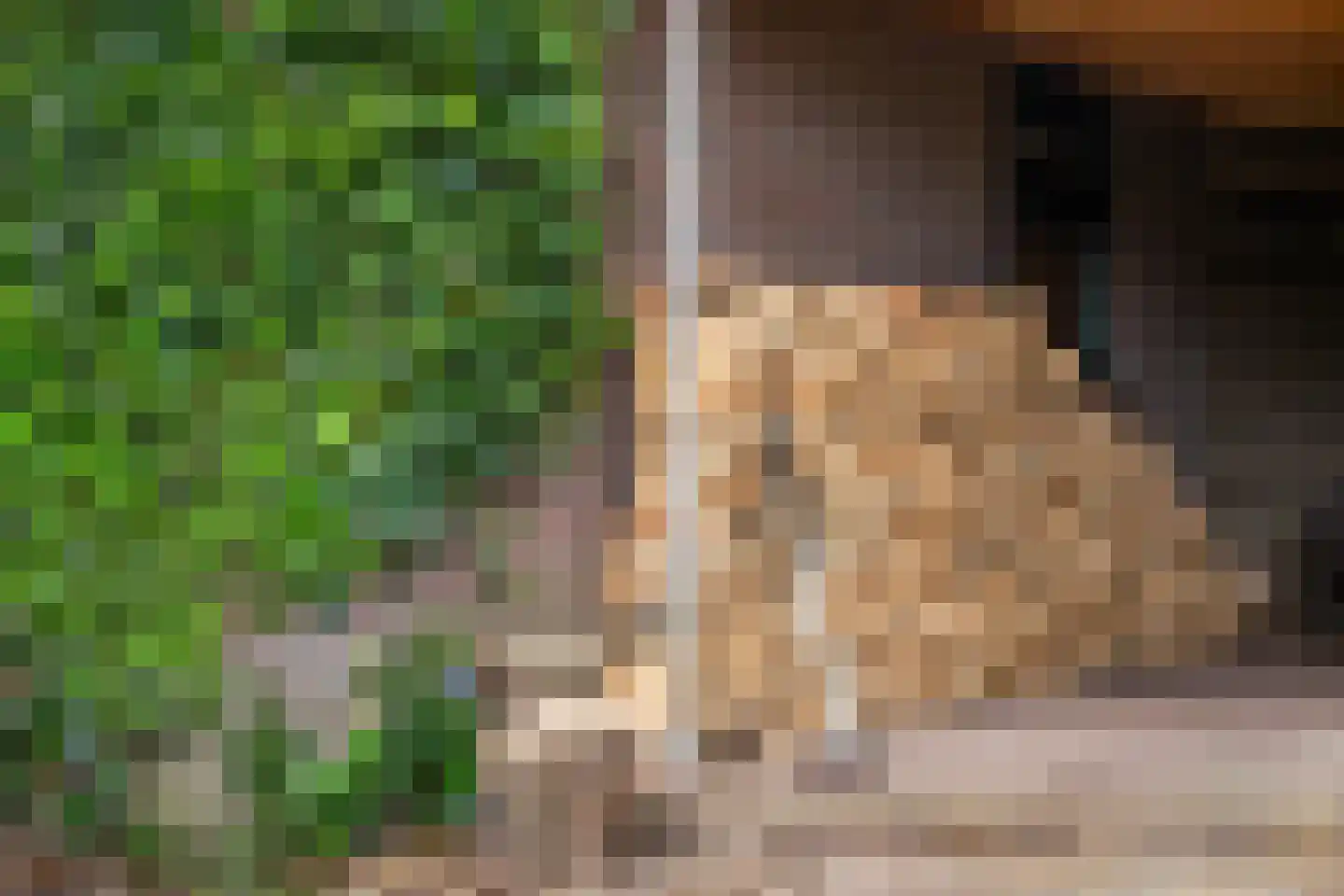 Kerklaan 49 Apeldoorn thumbnail 70