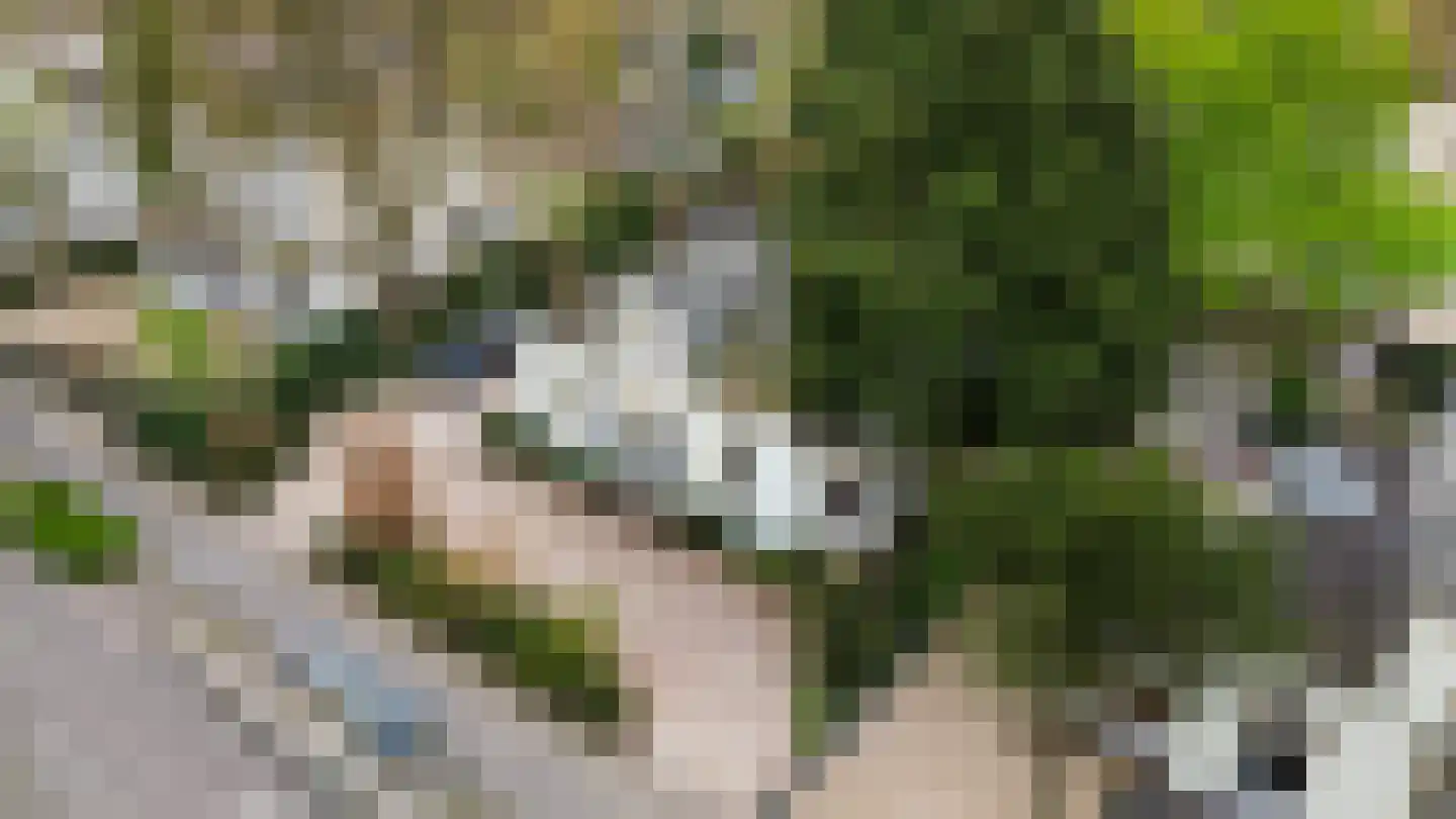 Kerklaan 49 Apeldoorn thumbnail 75