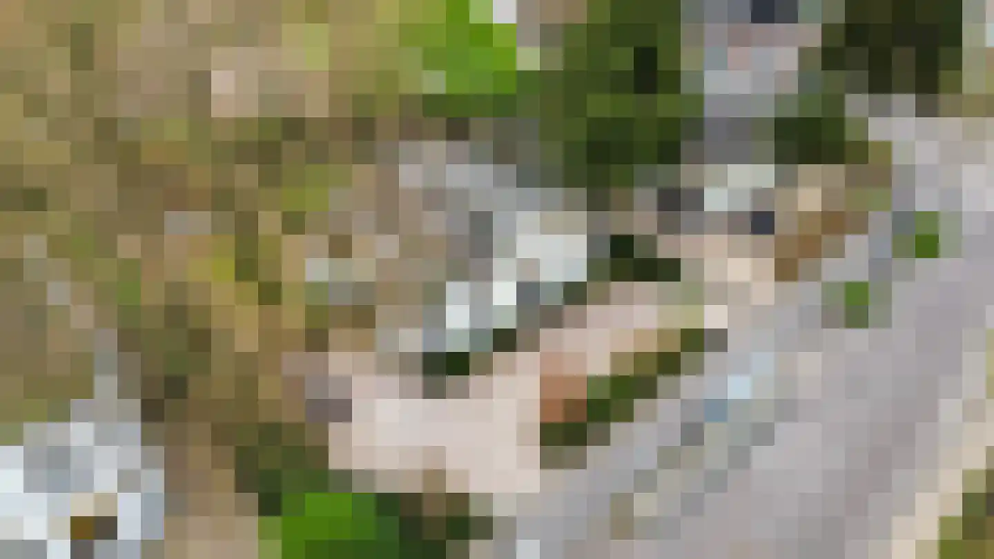 Kerklaan 49 Apeldoorn thumbnail 77