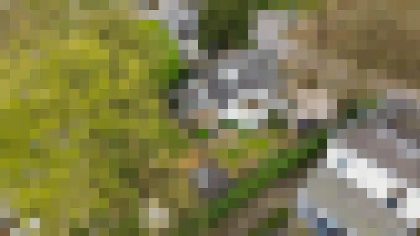 Kerklaan 49 Apeldoorn thumbnail 78