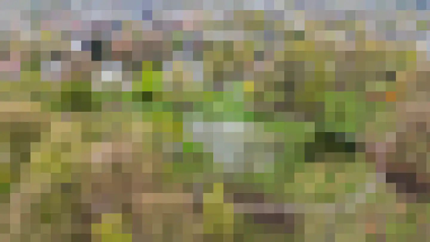 Kerklaan 49 Apeldoorn thumbnail 83