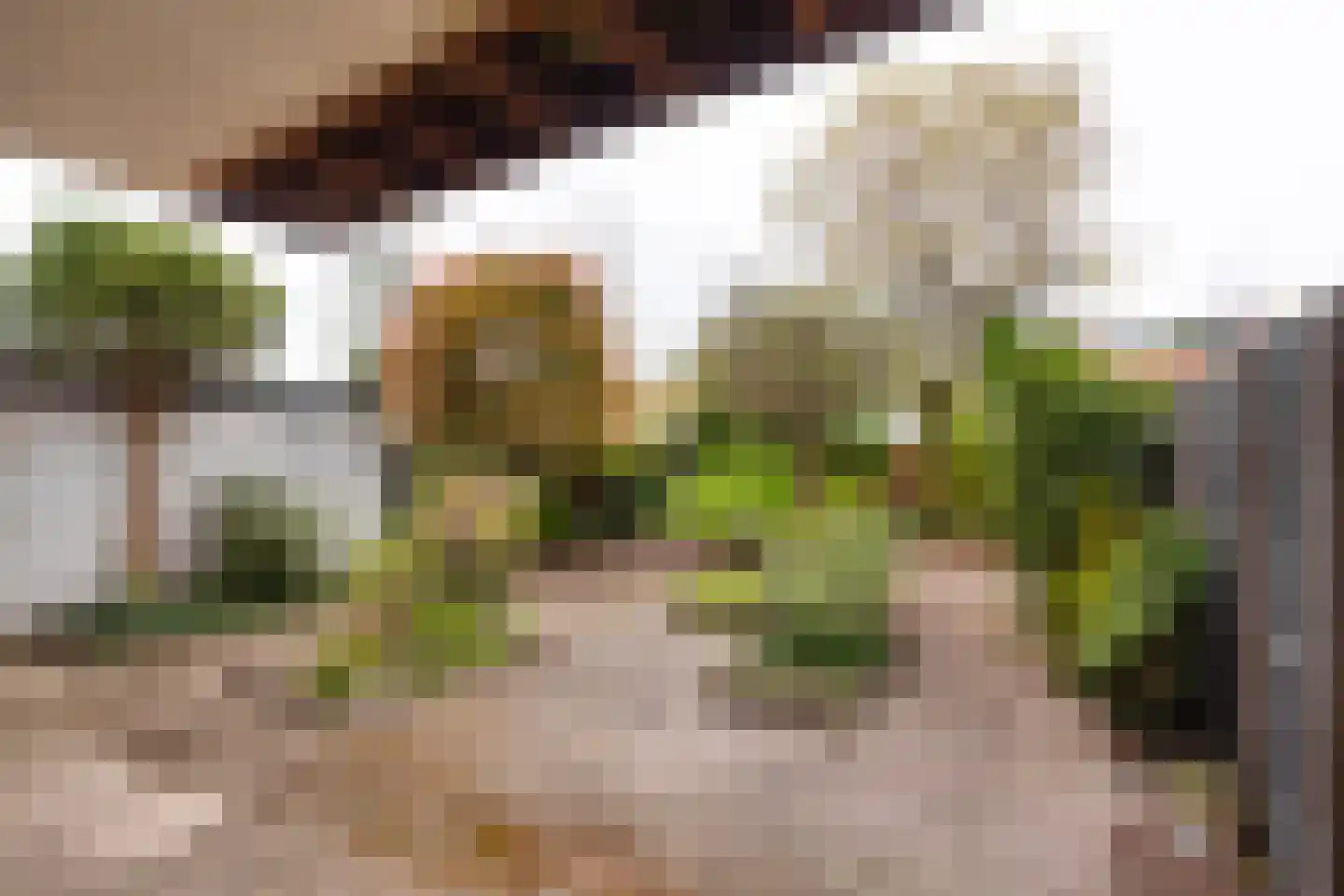 Kerklaan 49 Heemstede thumbnail 19