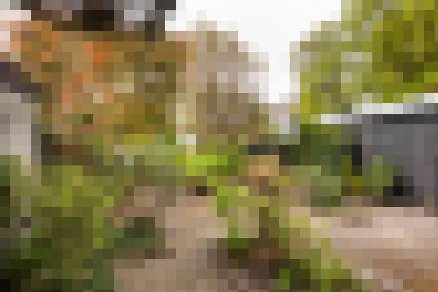 Kerklaan 49 Heemstede thumbnail 21