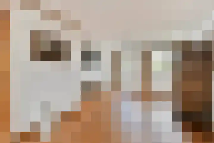 Kerklaan 5 Loenen aan de Vecht thumbnail 16
