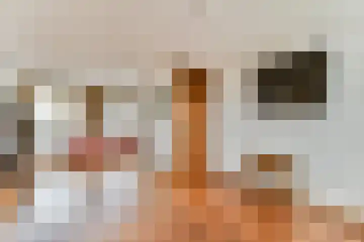 Kerklaan 5 Loenen aan de Vecht thumbnail 17