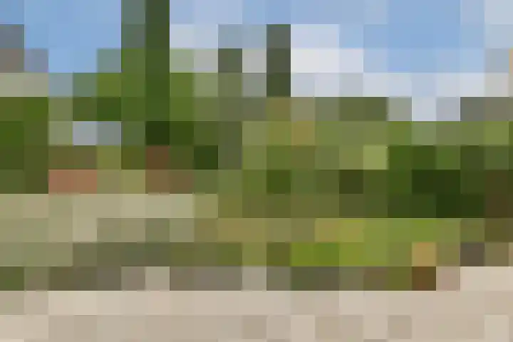 Kerklaan 5 Loenen aan de Vecht thumbnail 39