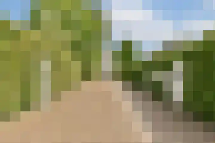 Kerklaan 5 Loenen aan de Vecht thumbnail 40