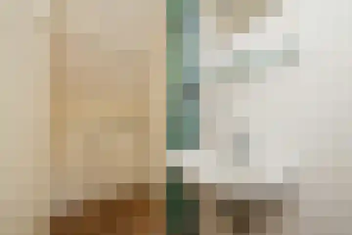 Kerklaan 5 Naaldwijk thumbnail 26