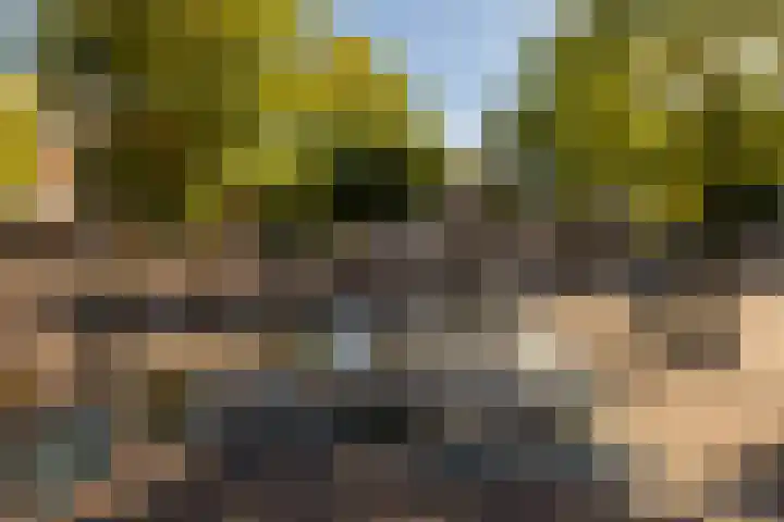 Kerklaan 5 Naaldwijk thumbnail 32