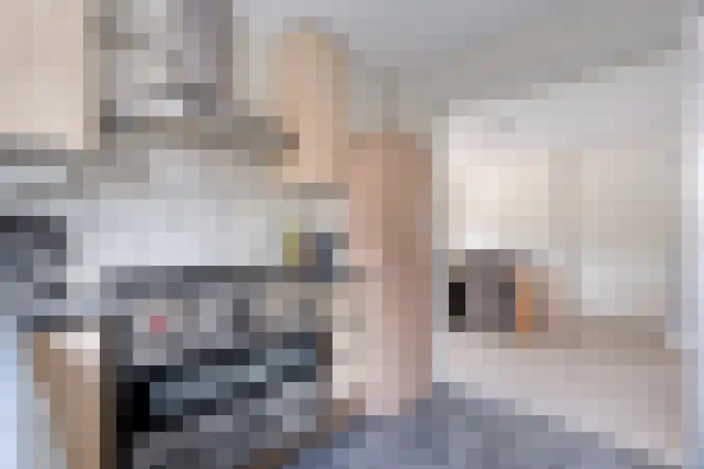 Kerklaan 5 Nieuw-Buinen thumbnail 14