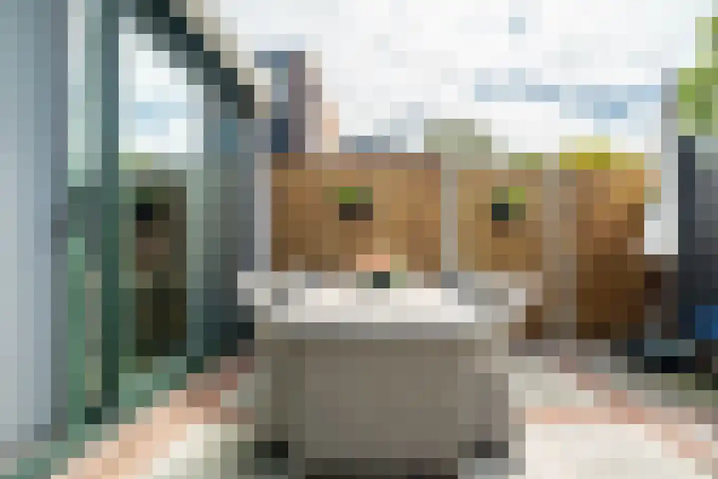 Kerklaan 5 Zoeterwoude thumbnail 20