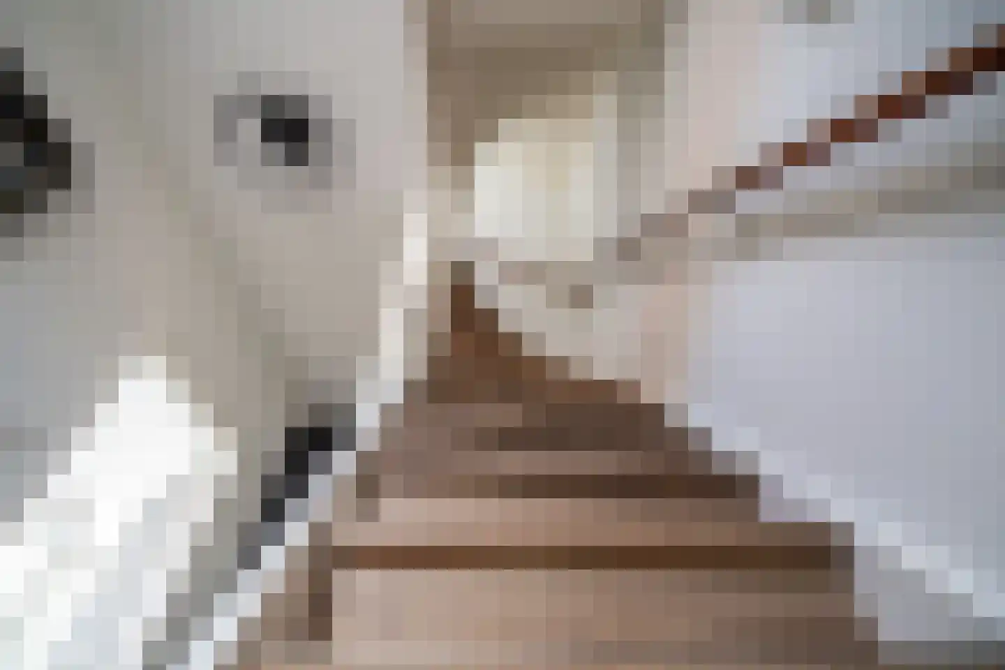 Kerklaan 5 Zoeterwoude thumbnail 33