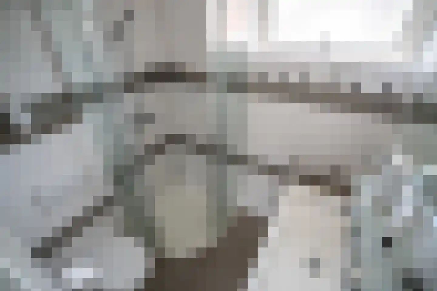 Kerklaan 5 Zoeterwoude thumbnail 35