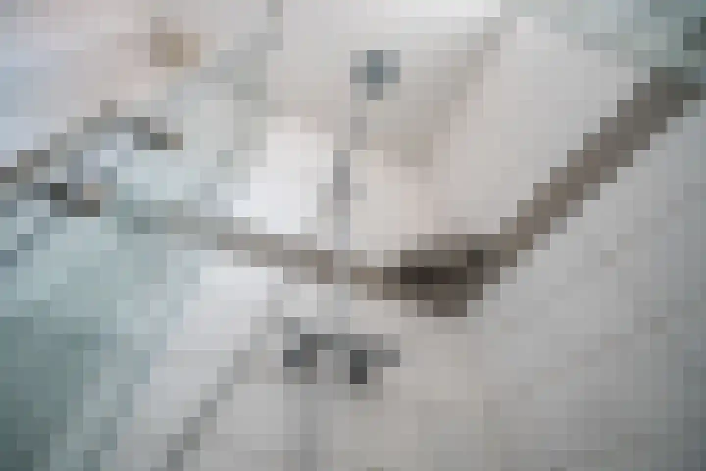 Kerklaan 5 Zoeterwoude thumbnail 36