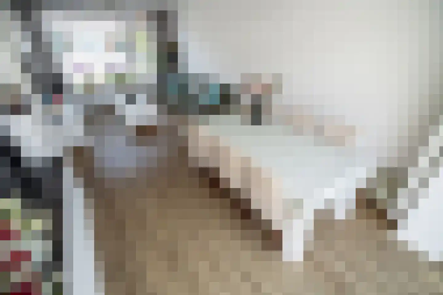 Kerklaan 5 Zoeterwoude thumbnail 4
