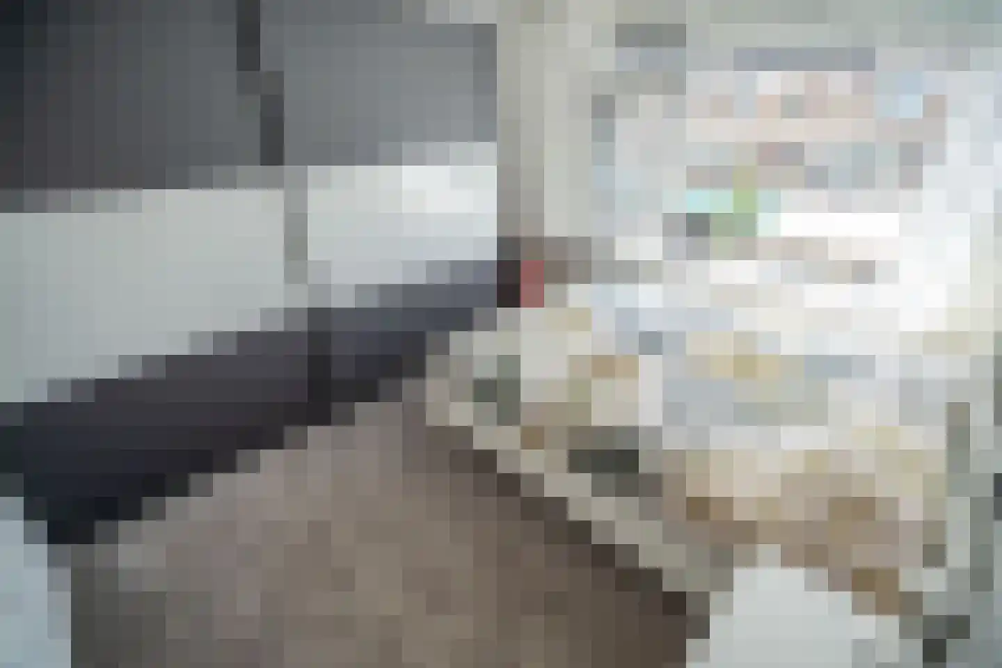 Kerklaan 5 Zoeterwoude thumbnail 40
