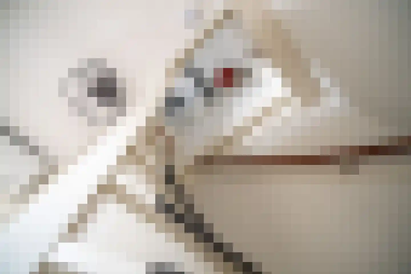 Kerklaan 5 Zoeterwoude thumbnail 45