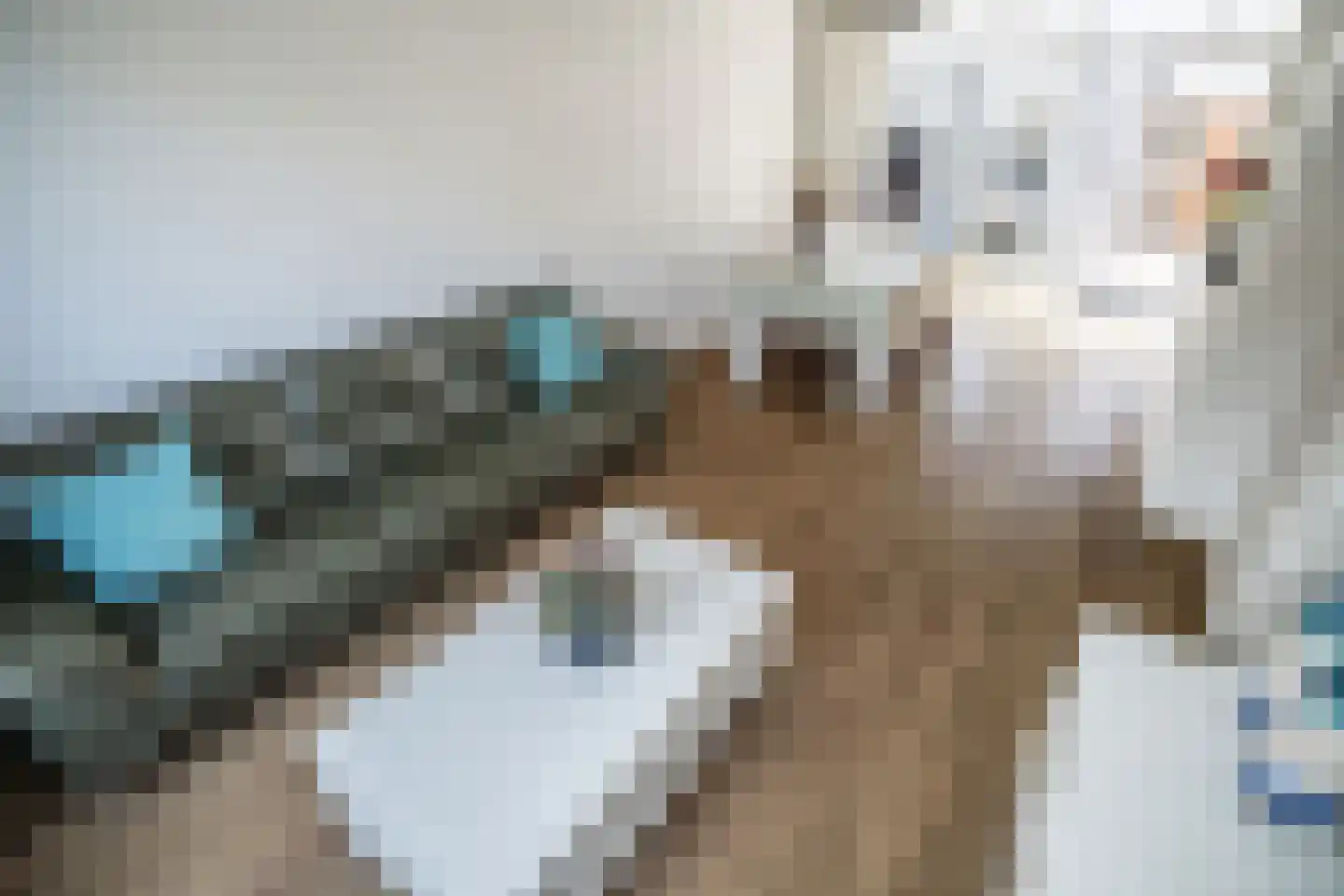 Kerklaan 5 Zoeterwoude thumbnail 7