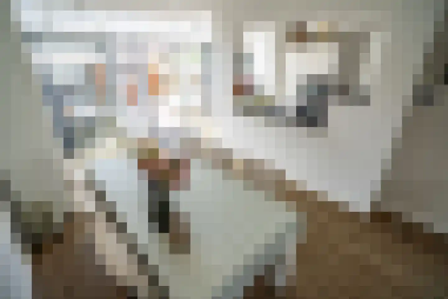Kerklaan 5 Zoeterwoude thumbnail 9