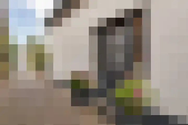 Kerklaan 52 Capelle aan den IJssel thumbnail 13