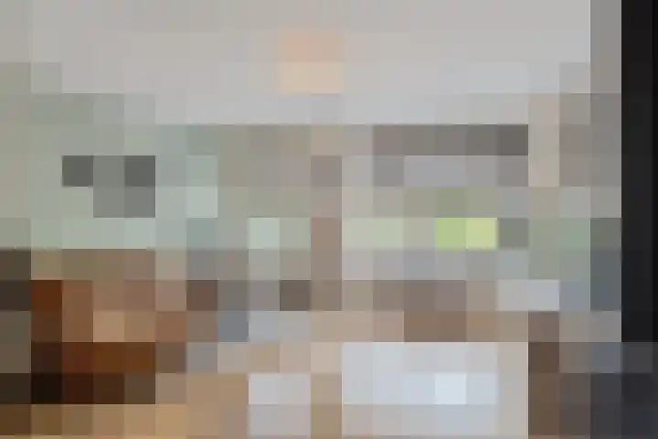Kerklaan 52 Capelle aan den IJssel thumbnail 18