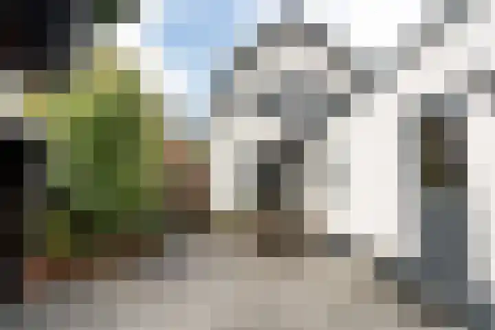 Kerklaan 52 Capelle aan den IJssel thumbnail 33