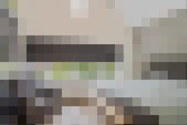 Kerklaan 52 Capelle aan den IJssel thumbnail 43