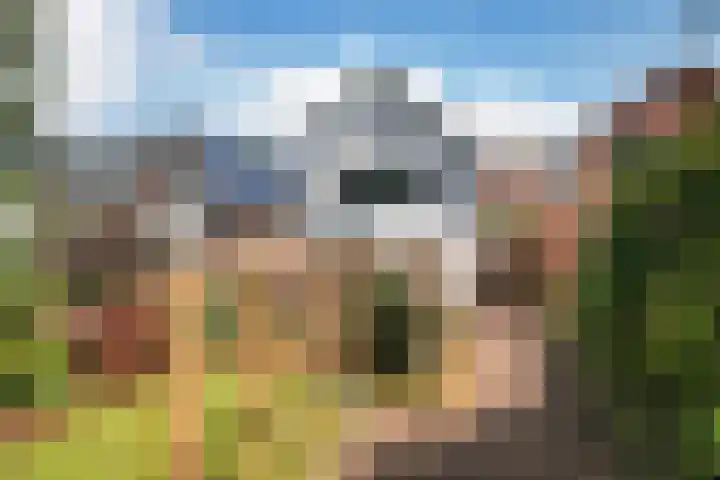 Kerklaan 52 Capelle aan den IJssel thumbnail 7