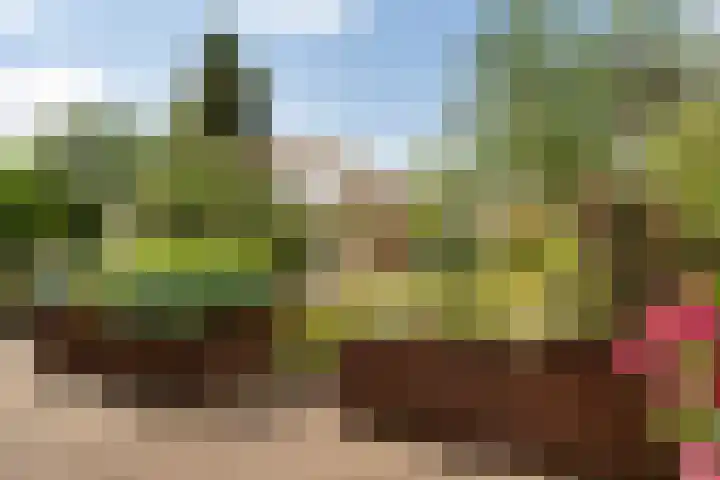 Kerklaan 52 Capelle aan den IJssel thumbnail 9