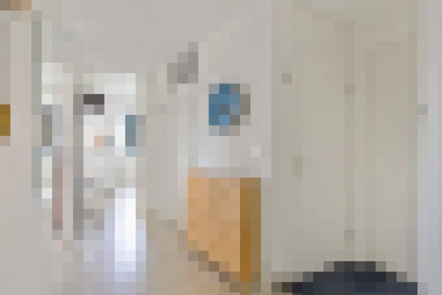 Kerklaan 524 Capelle aan den IJssel thumbnail 9