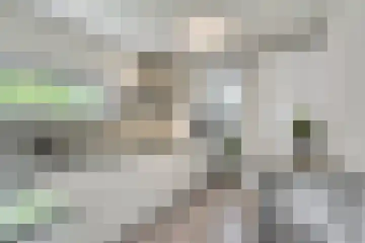 Kerklaan 6 Beek thumbnail 14