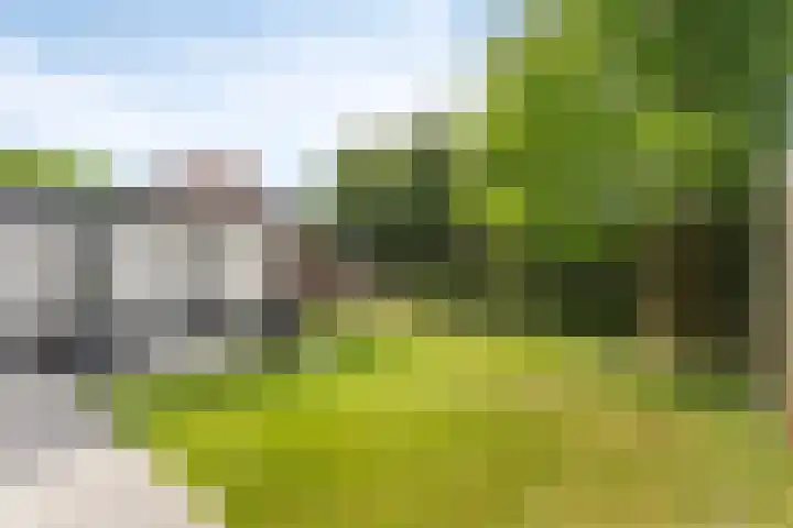 Kerklaan 6 Beek thumbnail 31