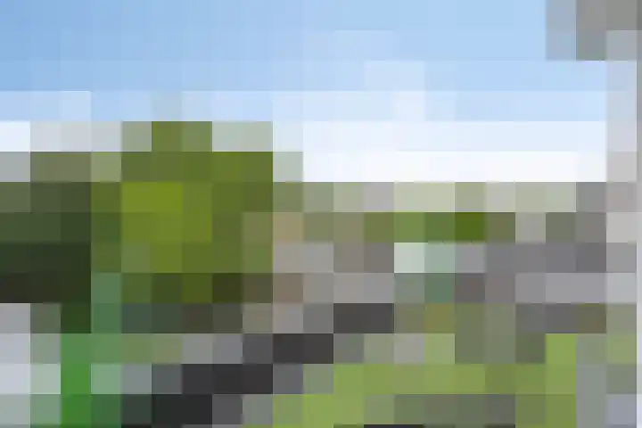 Kerklaan 6 Beek thumbnail 35