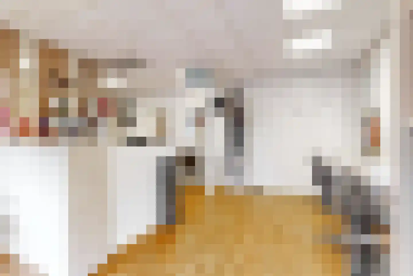 Kerklaan 6 De Kwakel thumbnail 11