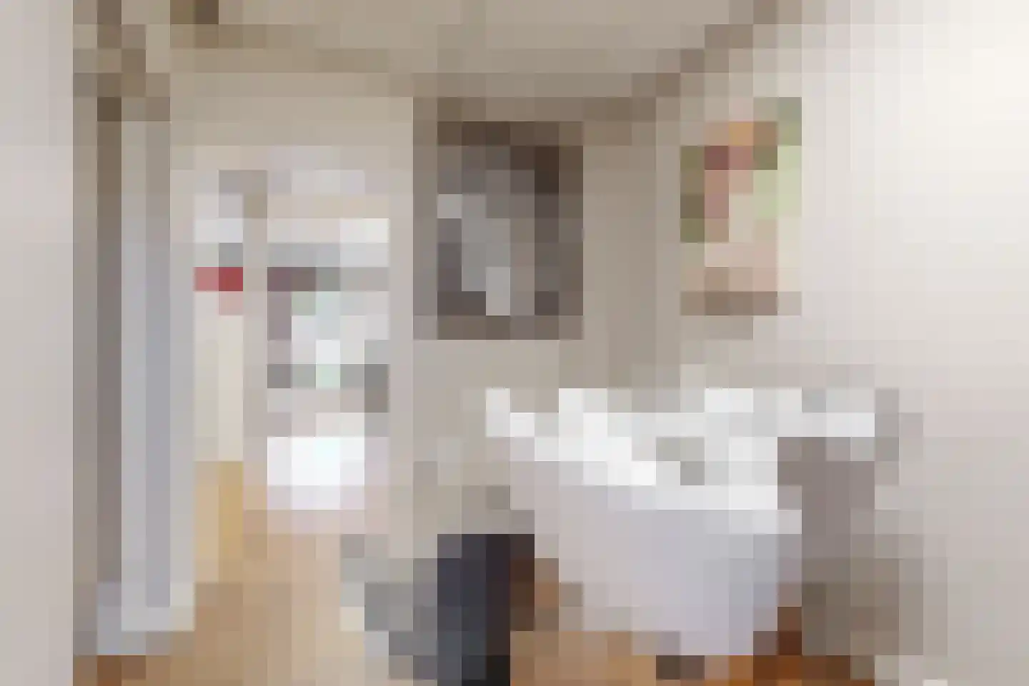 Kerklaan 6 De Kwakel thumbnail 14