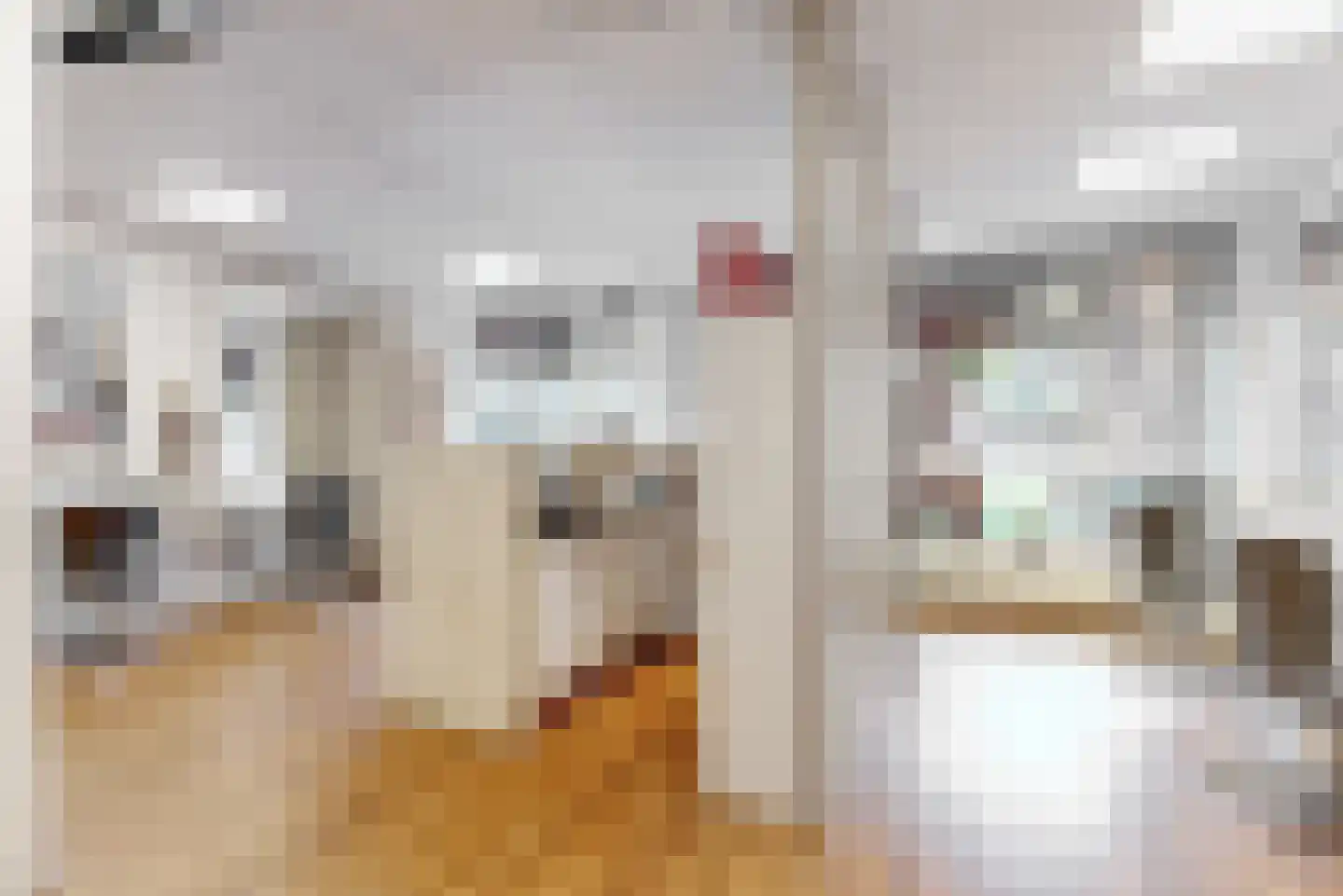 Kerklaan 6 De Kwakel thumbnail 16