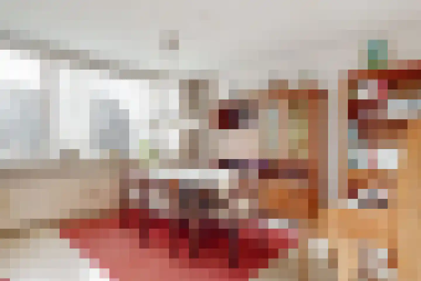 Kerklaan 6 De Kwakel thumbnail 20