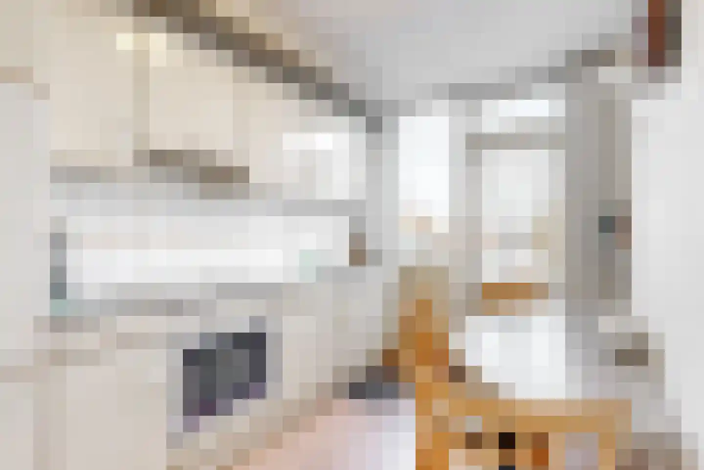 Kerklaan 6 De Kwakel thumbnail 22