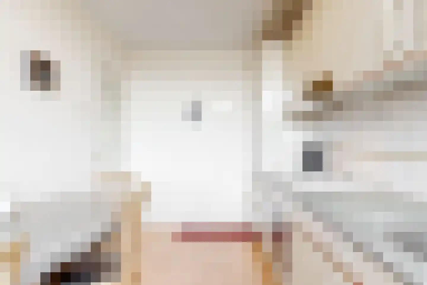 Kerklaan 6 De Kwakel thumbnail 23
