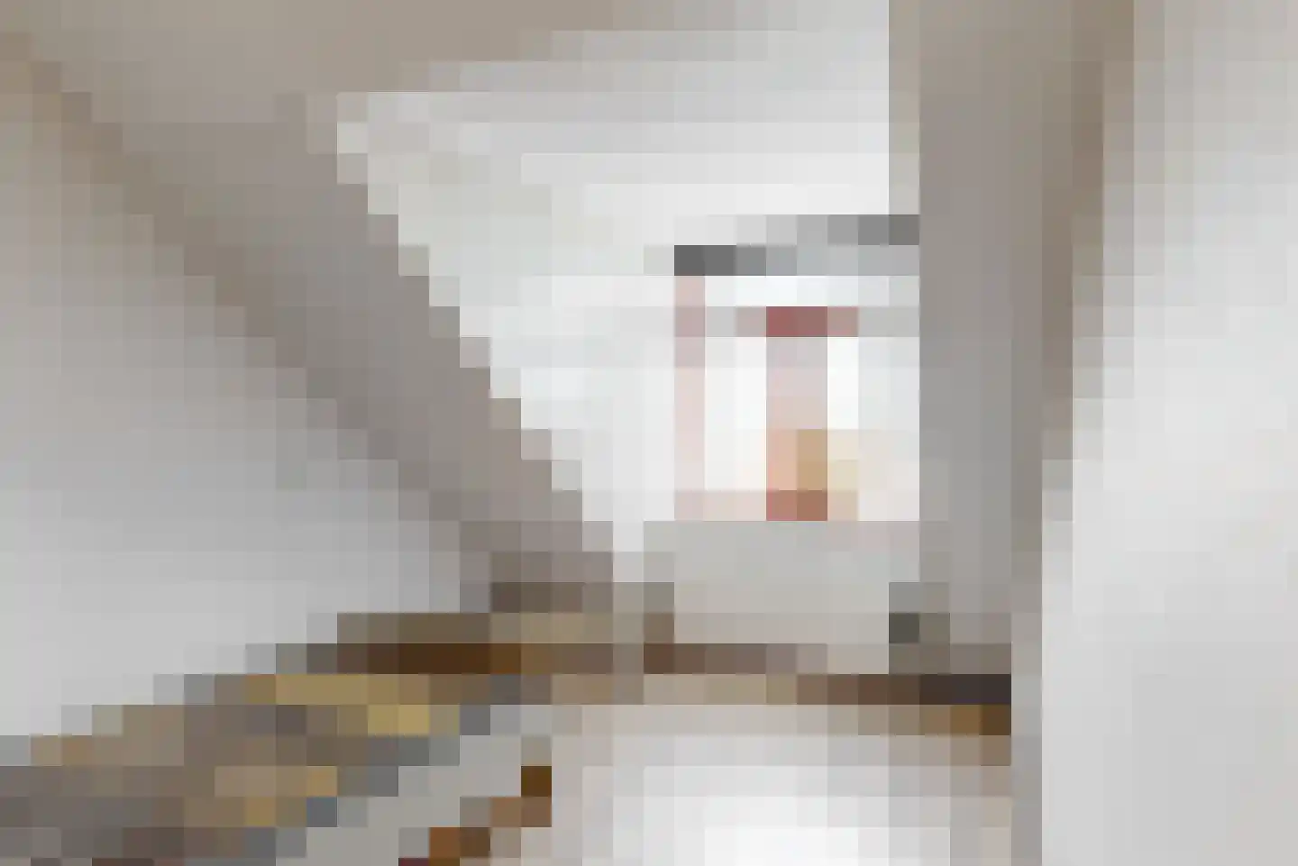 Kerklaan 6 De Kwakel thumbnail 29