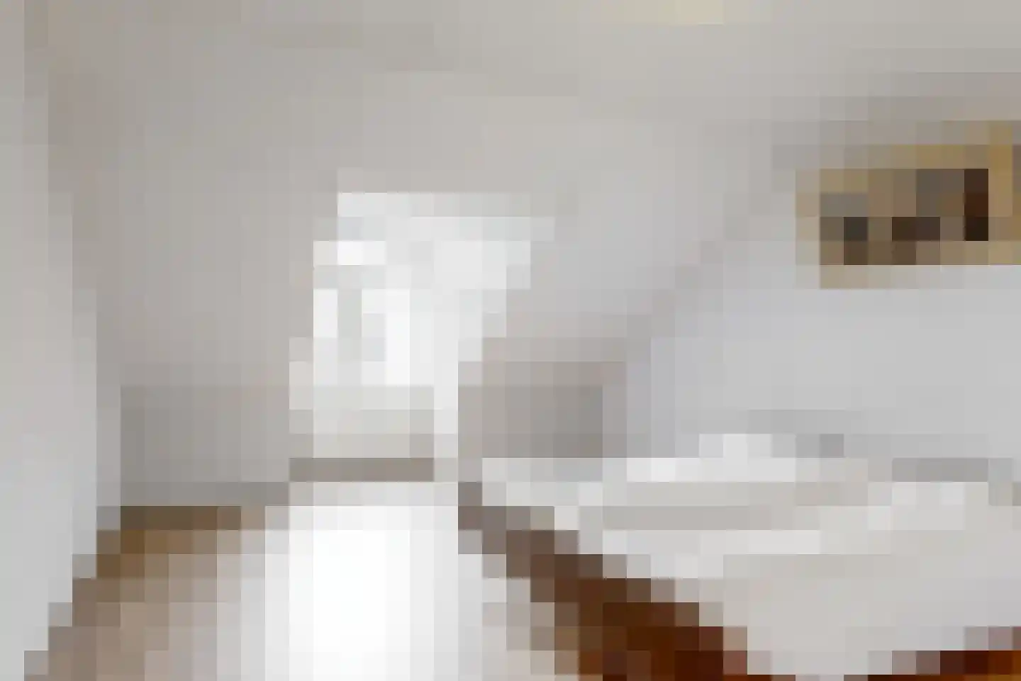 Kerklaan 6 De Kwakel thumbnail 30
