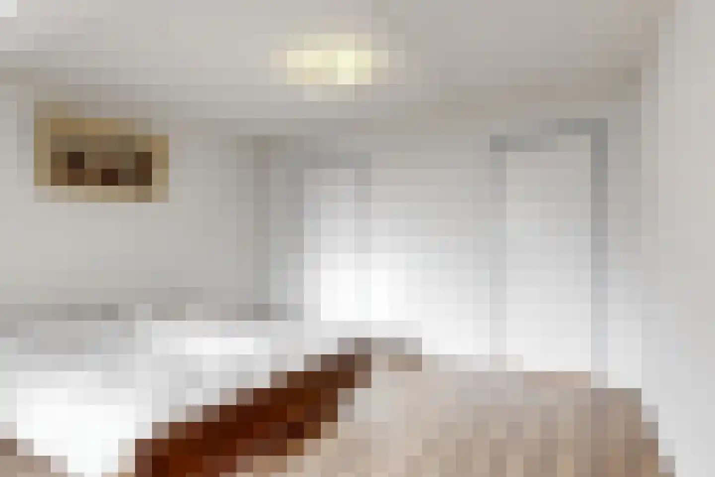 Kerklaan 6 De Kwakel thumbnail 31