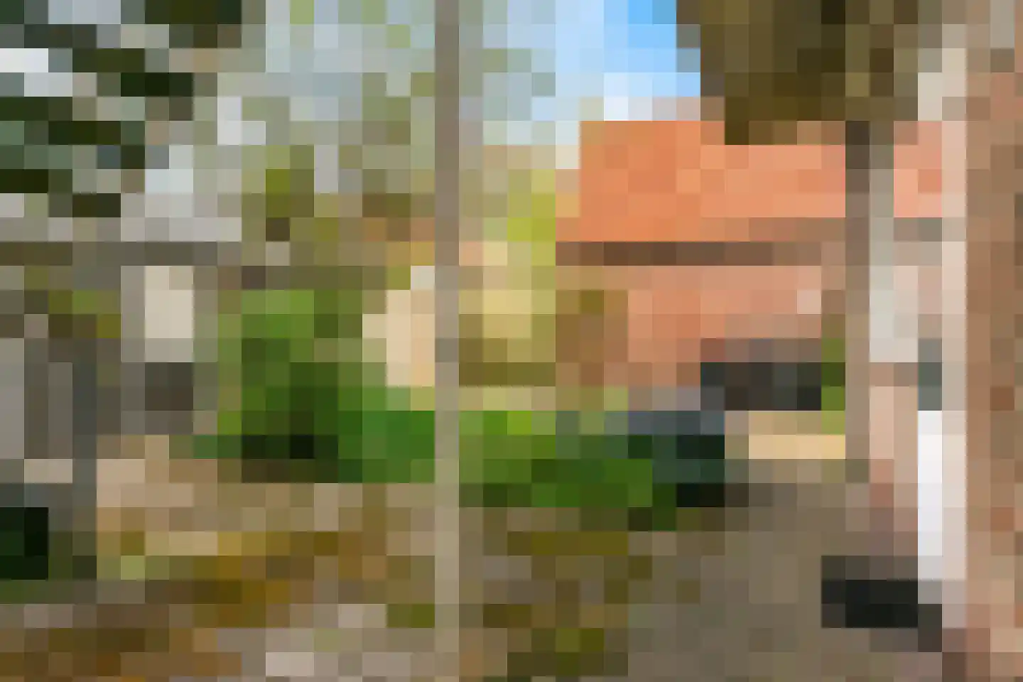 Kerklaan 6 De Kwakel thumbnail 34